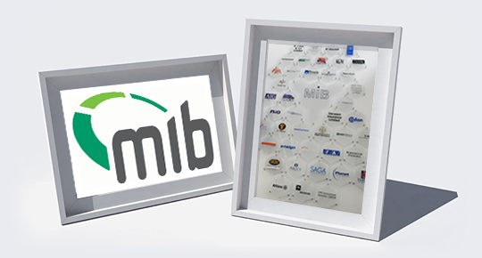 Mib sales all share