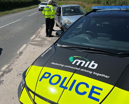 Glastonbury June 2025 Image 5